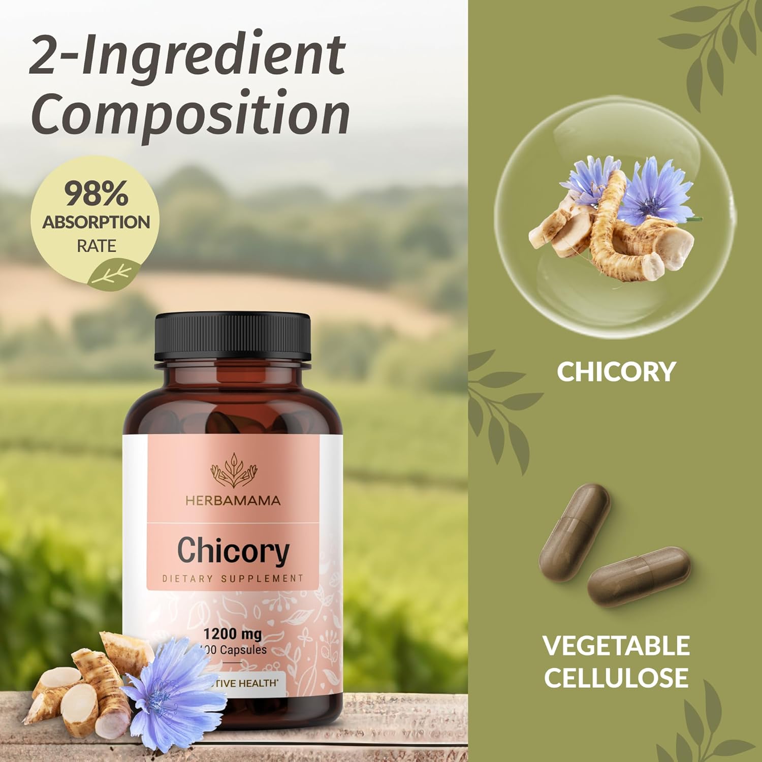 HERBAMAMA Chicory Root Fiber Capsules - 1200mg Chicory Root Powder for Gut Cleanse & Digestive Support - Vegan, Non-GMO Inulin Prebiotic Fiber Supplement - Image 4