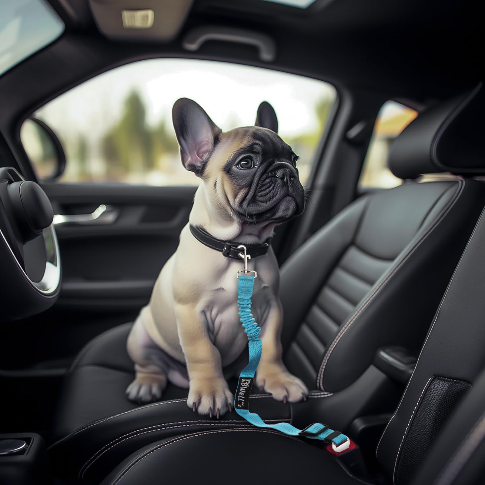 IBWell Cinturón de seguridad para perro para coche con correa elástica para perros, correa de coche para perros, cinturón de seguridad para perros IPCS (gris)