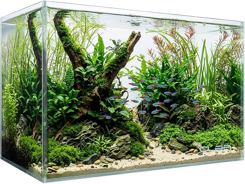 5 Gallon Rectangular Fish Tank, Rimless Ultra Clear Nano Aquarium | 5mm Thickness Fish Tank for Betta/Turtle/Goldfish/Snails/Shrimp and Aquatic Planting