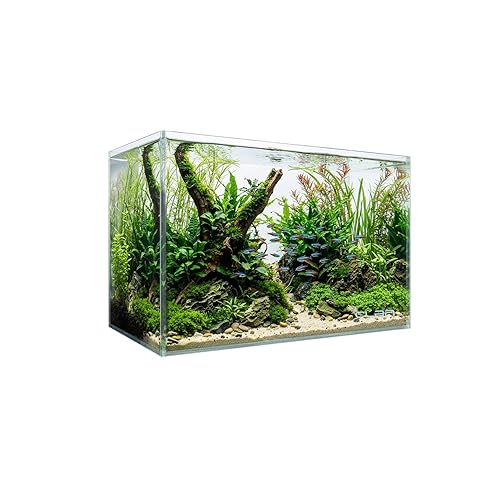 5 Gallon Glass Fish Tank, Nano Aquarium Fish Tank, Rimless