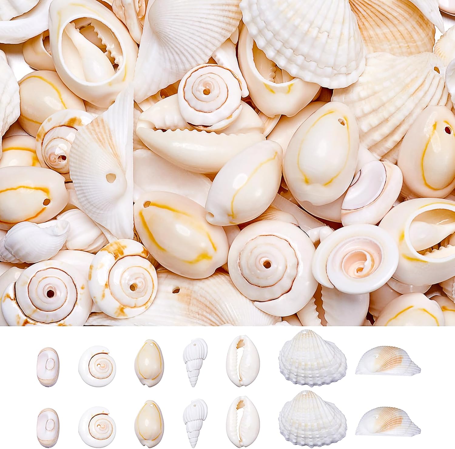 Beadthoven 210pcs White Natural Shell Charm Beads with Hole Assorted Sea Shells Ocean Beach Seashells Charms for Jewelry Making Wind Chime Earrings Bracelet Necklace Vase Filler Summer Home Decor