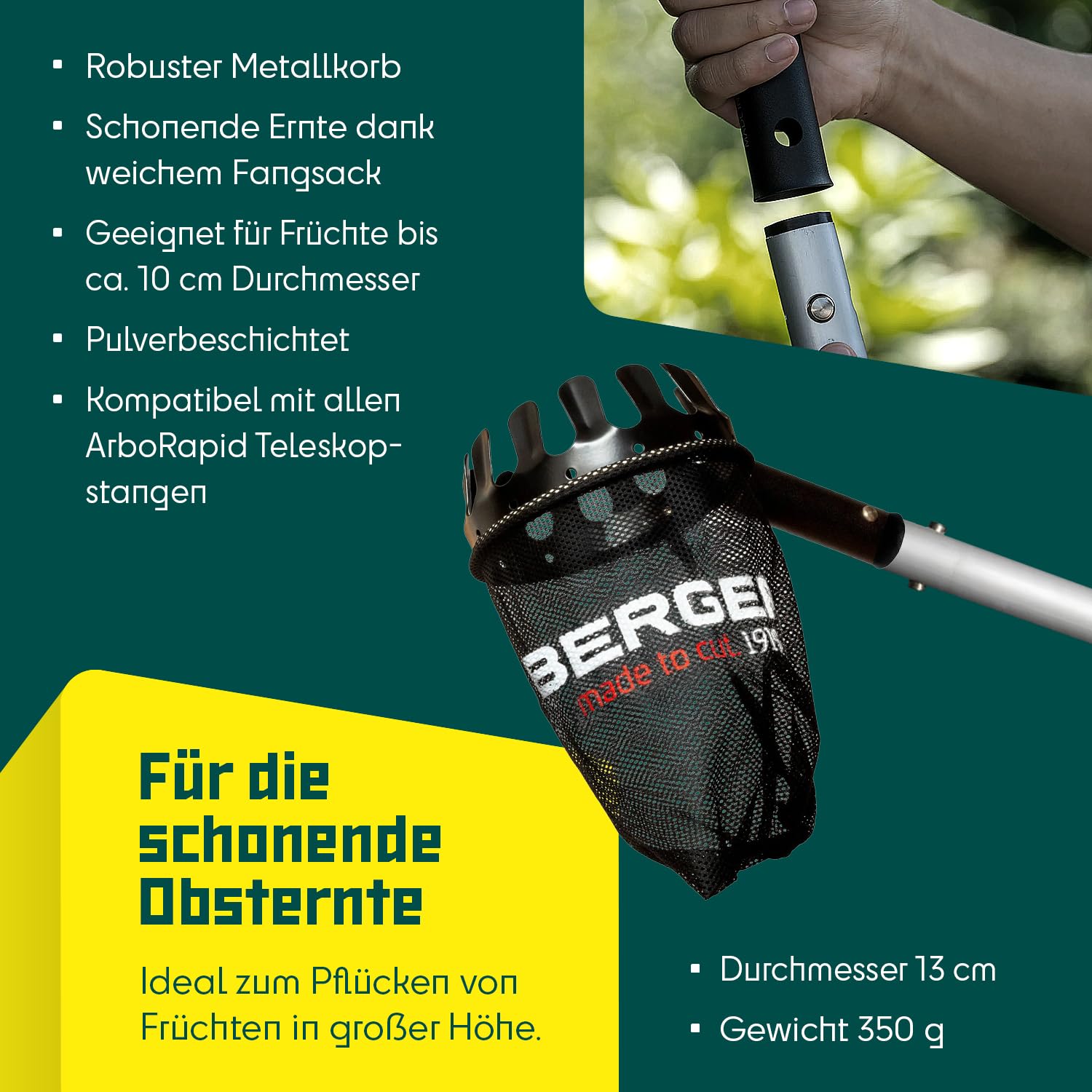 Berger Cueille-Fruits 5440 en Acier, avec Filet de ramassage