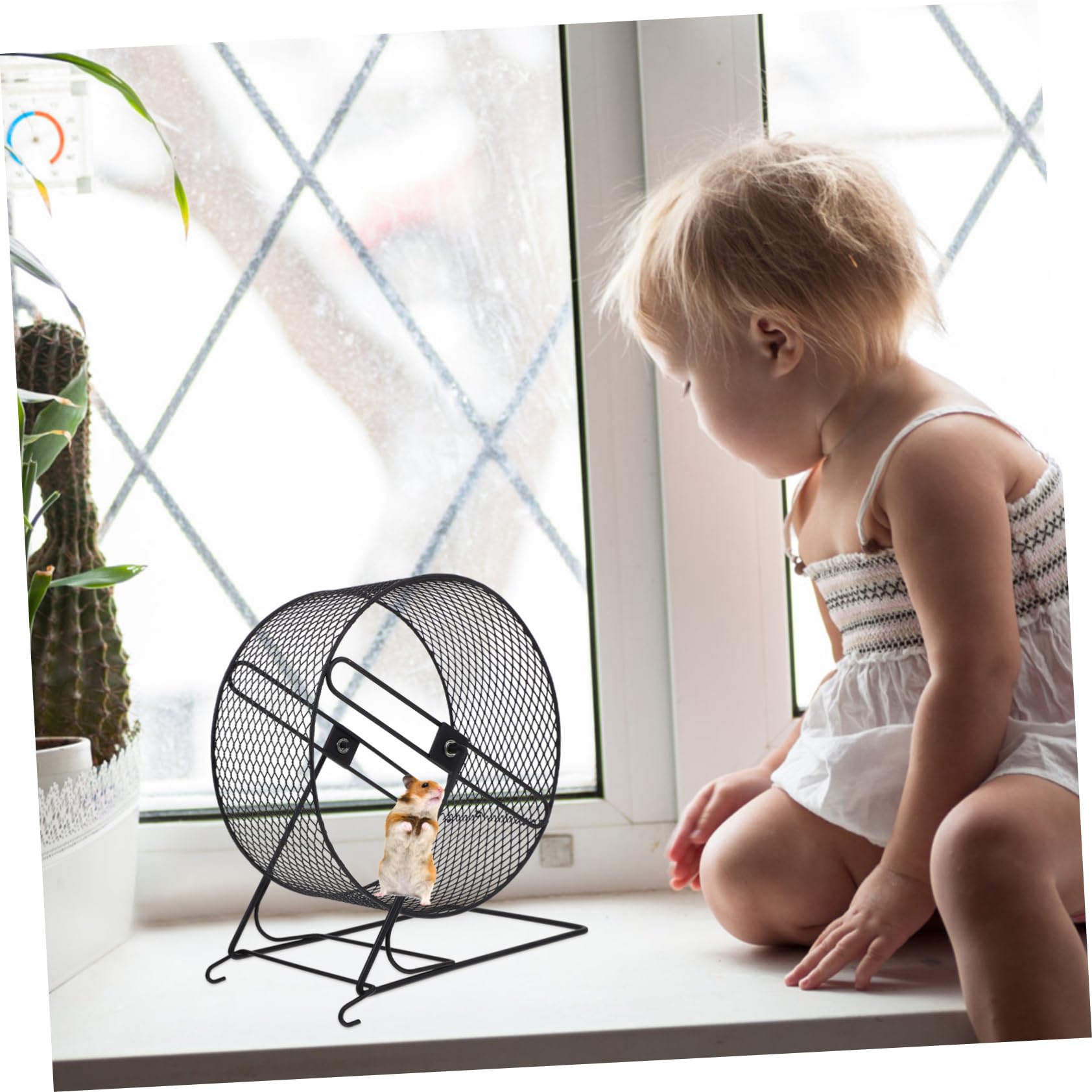 INOOMP Leises Eisenhamster Trainingsspielzeug Laufrad für Kleine Haustiere mit Robustem Material und Spaßigem Laufspiel für Eichhörnchen und Andere Kleintiere