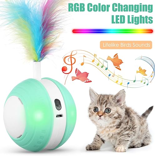 Miniatura 3 de Rueda de juguetes con sonido – Pelota de juguete para cachorros de interior – USB cargable