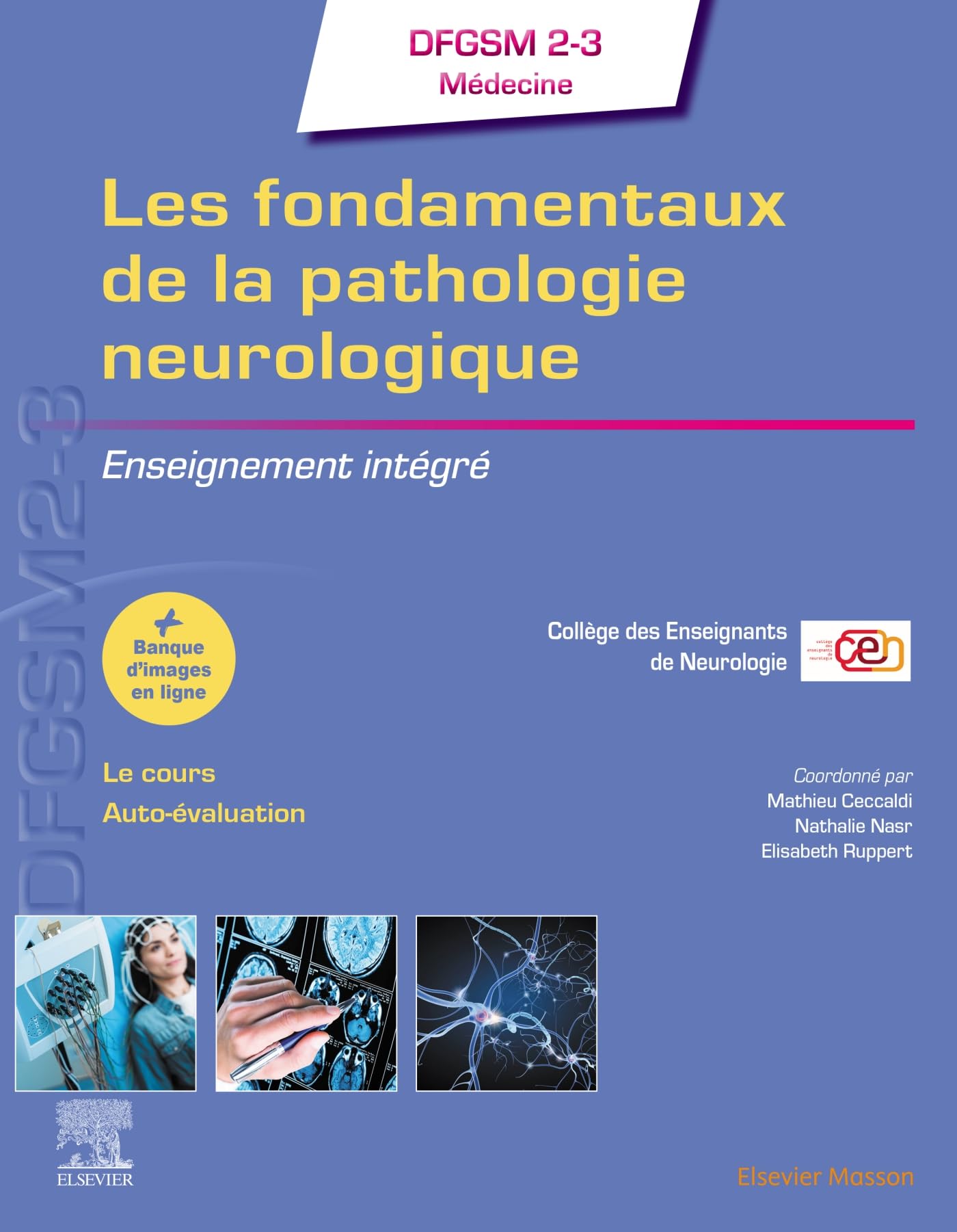 Les fondamentaux de la pathologie neurologique: Enseignement intégré