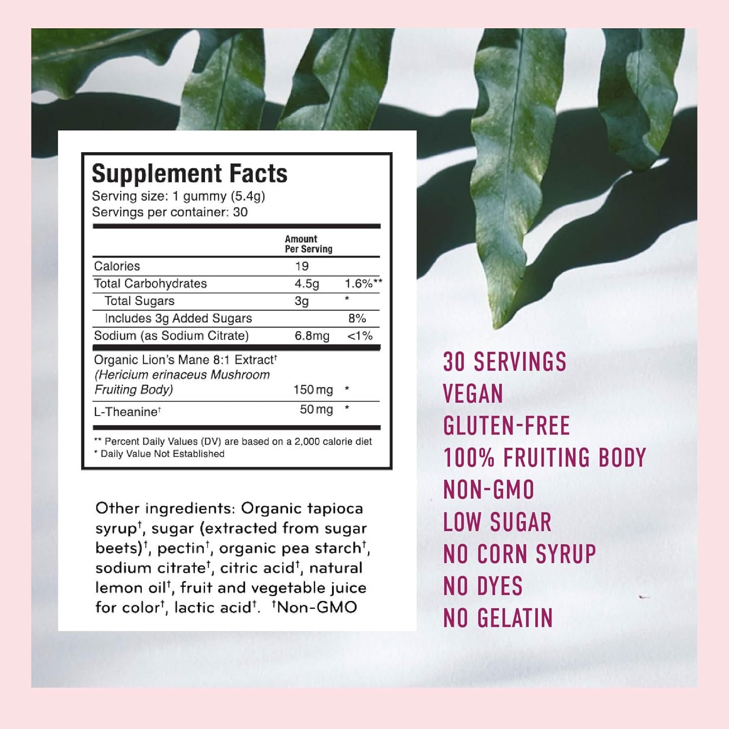 Microjoy Concentrate Gummies – Focus, Memory, Brain Health & Mood Support Supplement – Vegan, Non-GMO, Gluten-Free - Lemon Flavor (30 Servings)