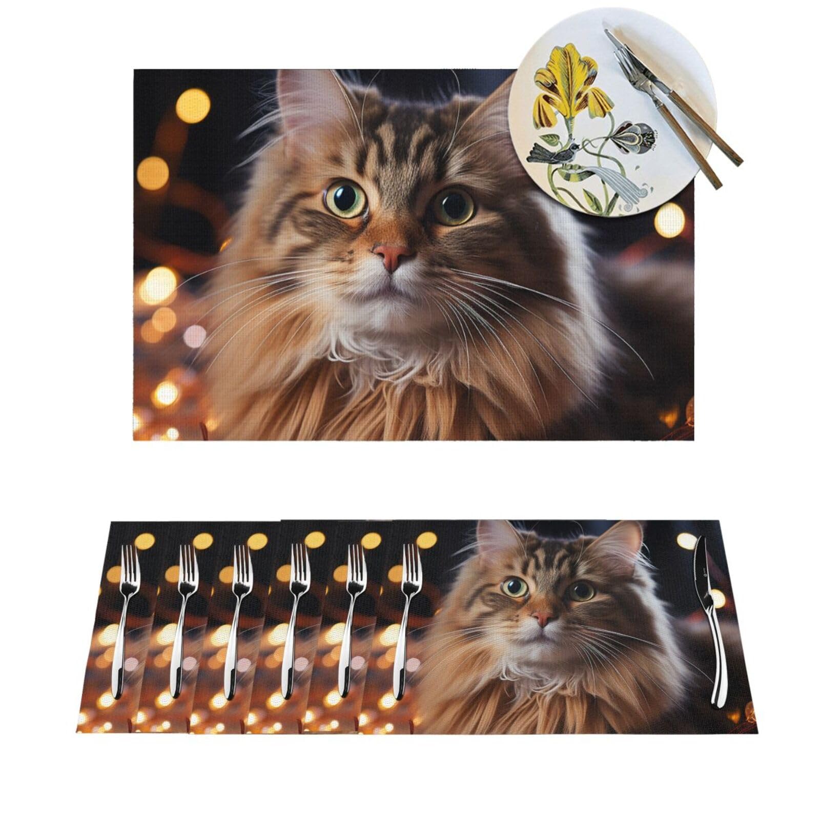 Sets de table antidérapants et lavables en PVC pour protéger votre table du chaud