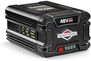 Briggs & Stratton 48V MAX 5.0 Ah Lithium-ion Battery for Snapper HD Cordless Electric Tools