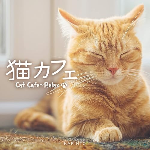 Cat Cafe Calming Karinto Healing Jazz BGM "15 canciones que quiero escuchar con gatos"