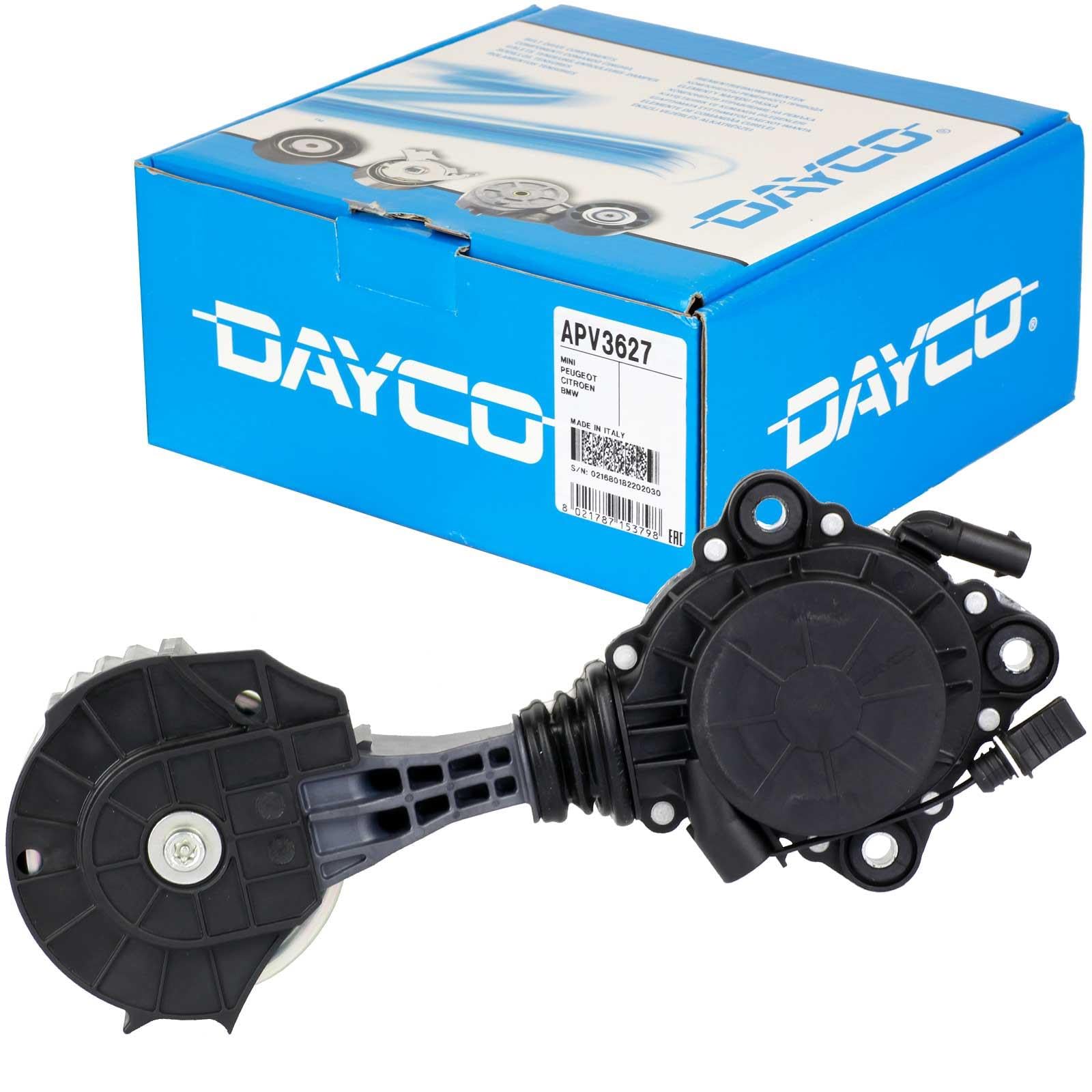 BandelOne enthält DAYCO Spannarm+SKF Wasserpumpe Spanner + Riemen passend für 1er F20 3er F30