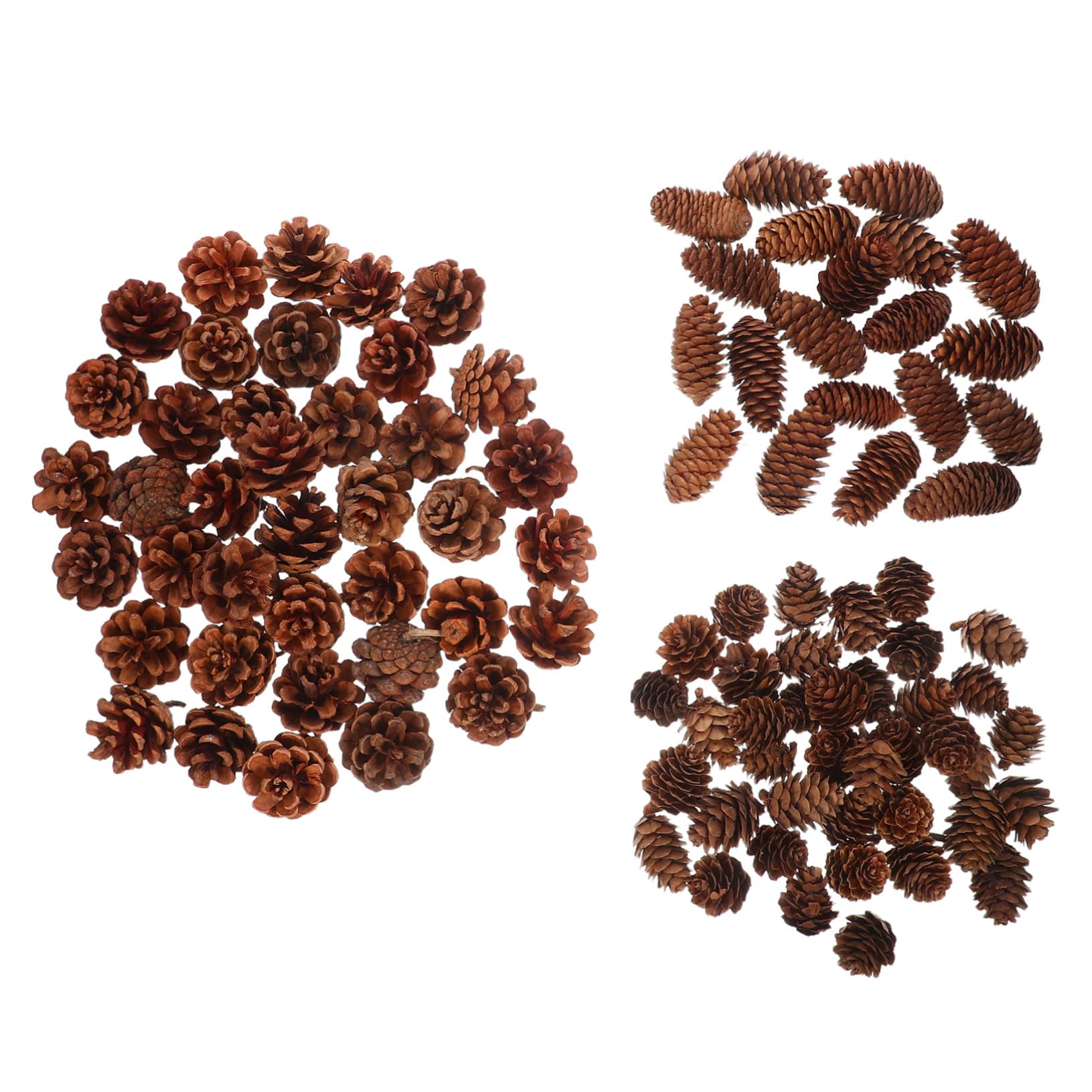 120 Piezas De Piñas Pequeñas Rústicas para Manualidades Mini Piñas Secas Accesorios Decorativos Relleno De Jarrón Café