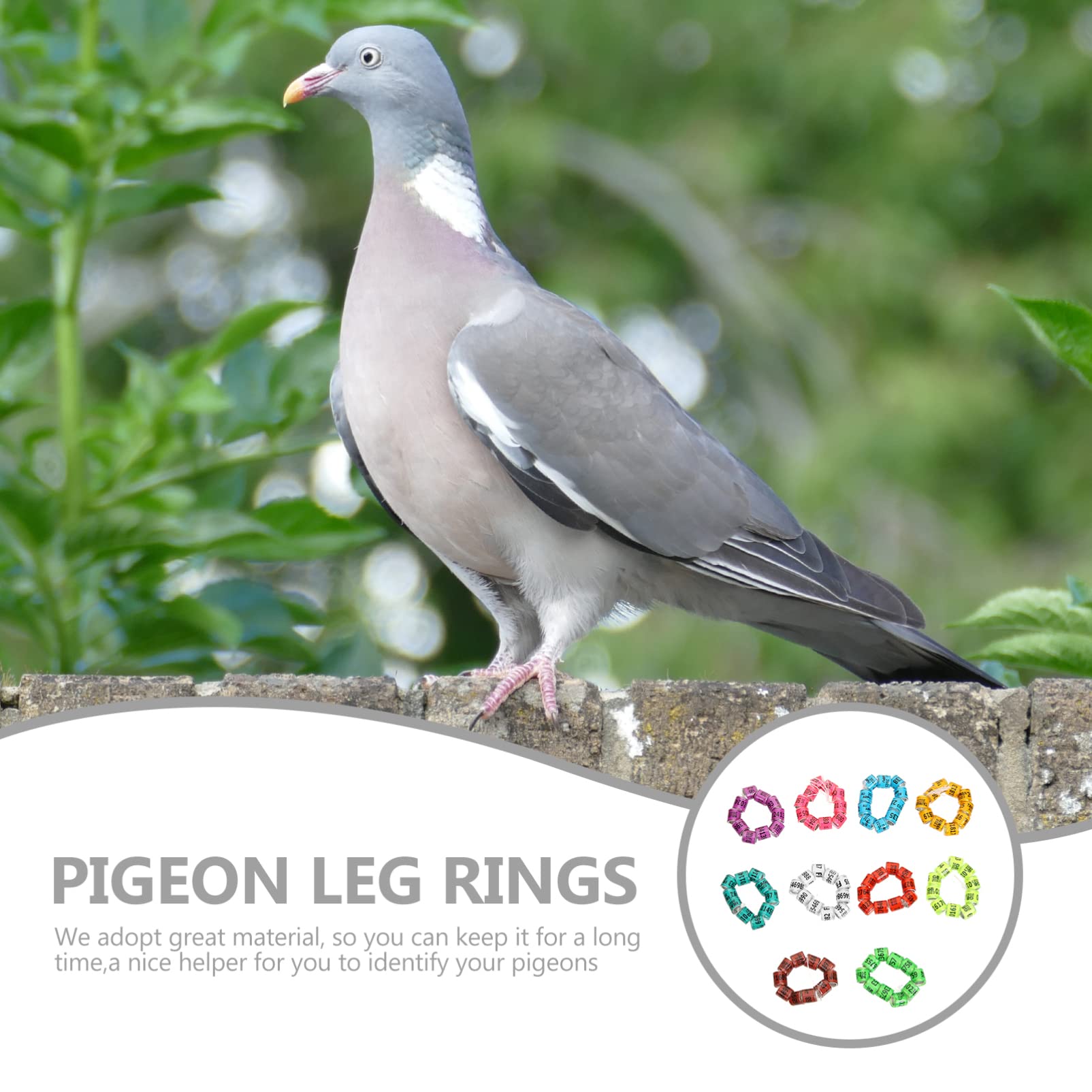 BESPORTBLE 400pezzi Fasce per Piedi Piccioni Anelli di Identificazione Leggeri e Colorati per Piccioni e Pappagalli Facili da Usare Varie Colorazioni per Monitoraggio e La Gestione degli