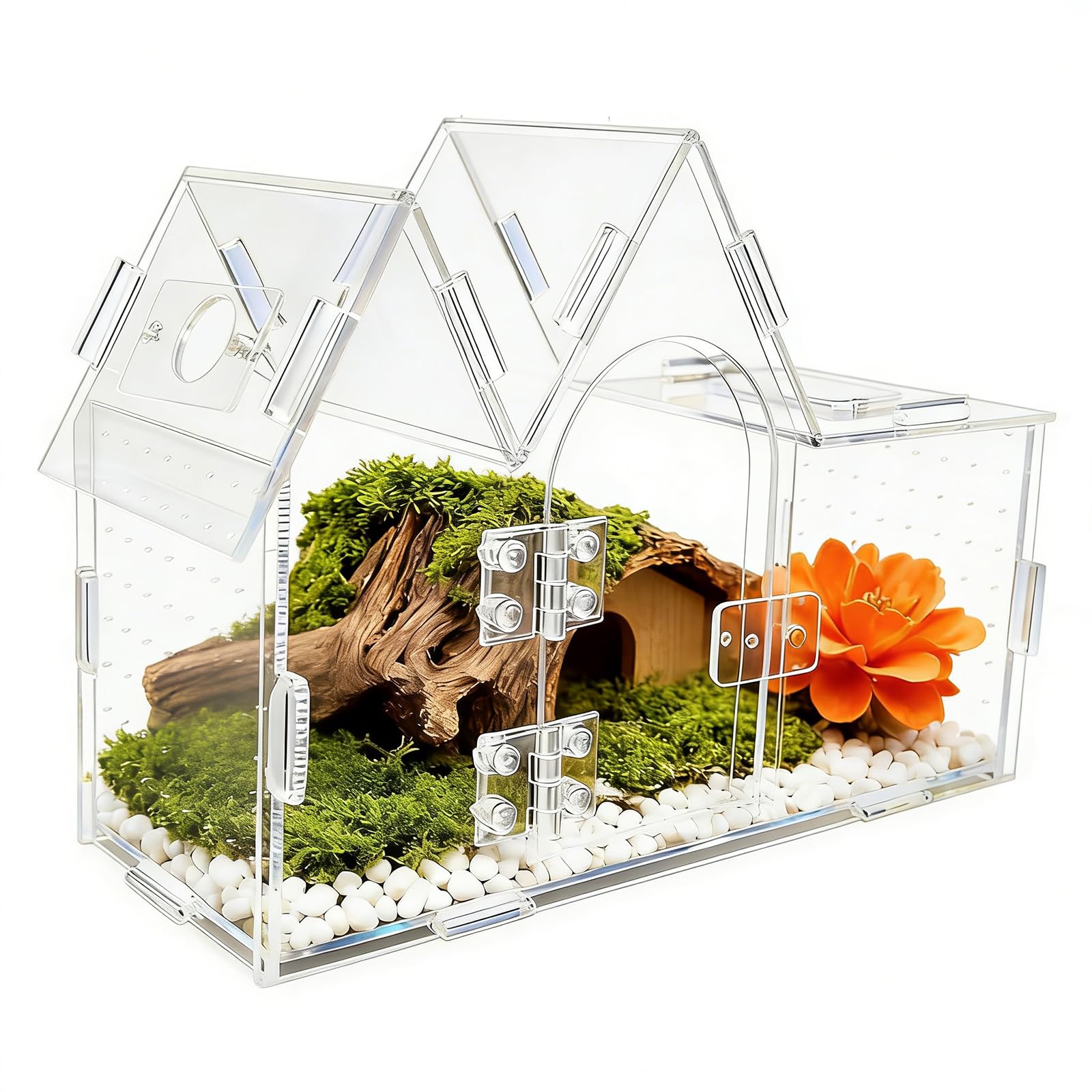 LUCKGONI Clear Acrylic Terrarium 360 Degree View Observation Box for Pet Reptiles and Plant with Ventilation Hole Easy Assembly