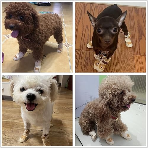 Miniatura 7 de 4 botas impermeables para perro, zapatos para perro para nieve y lluvia, de peluche de Pomerania, bichón, perros medianos y pequeños (oveja verde,