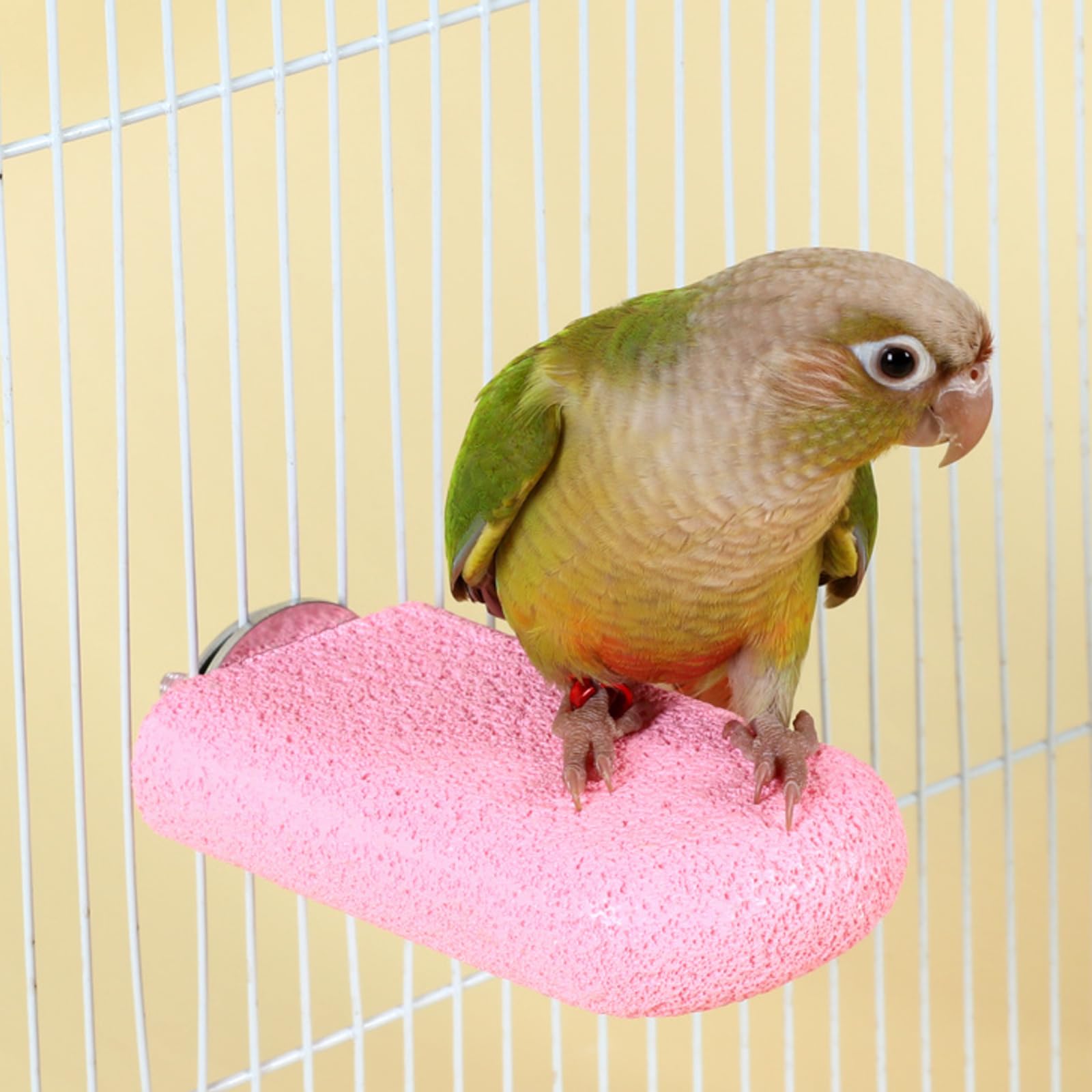 Lot de 5 perchoirs pour oiseaux, bâtons de meulage en calcium pour perroquet, balançoire, tondeuse à pattes pour perruches, calopsittes, petits oiseaux