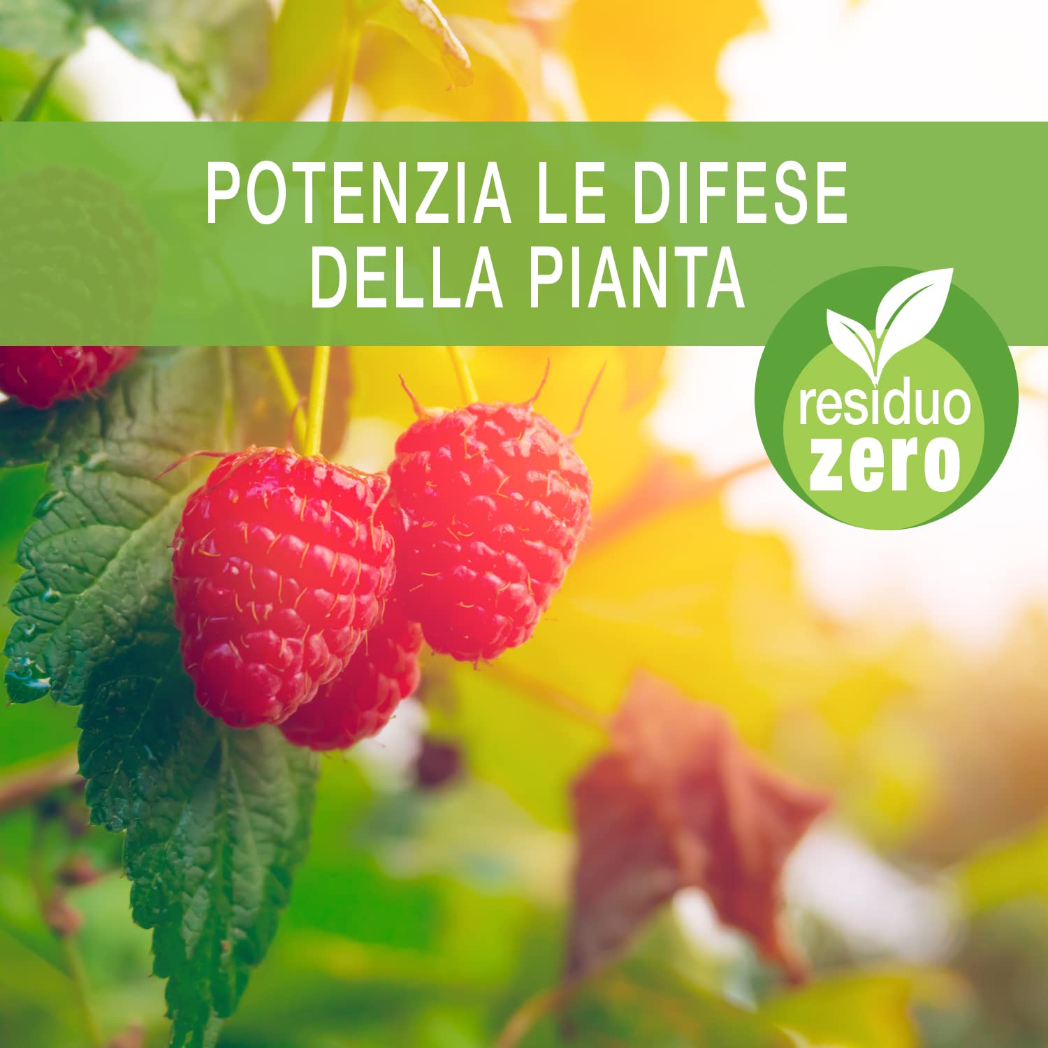 Sapone Molle di Potassio 5L per Orto e Frutta, Corroborante Concentrato - Efficace su Insetti parassiti melata e fumaggine