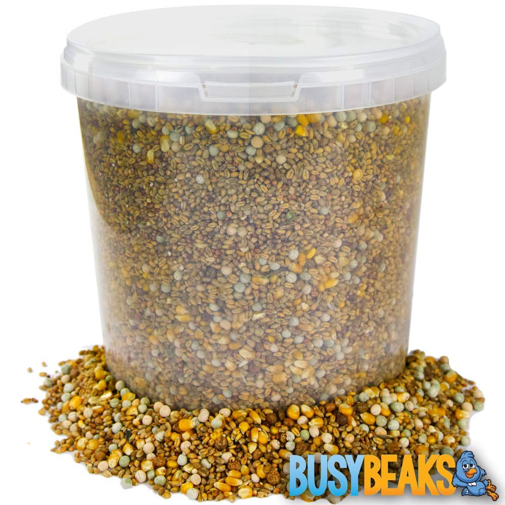BusyBeaks Four Seasons Pigeon Corn | Premium Grade Natural Food Mix | Rich in Nutritious Oils Vitamins and Minerals | Perfect Year-Round Wild Bird Seed Feed | High in Protein Energy & Fibre (2.5L Tub)