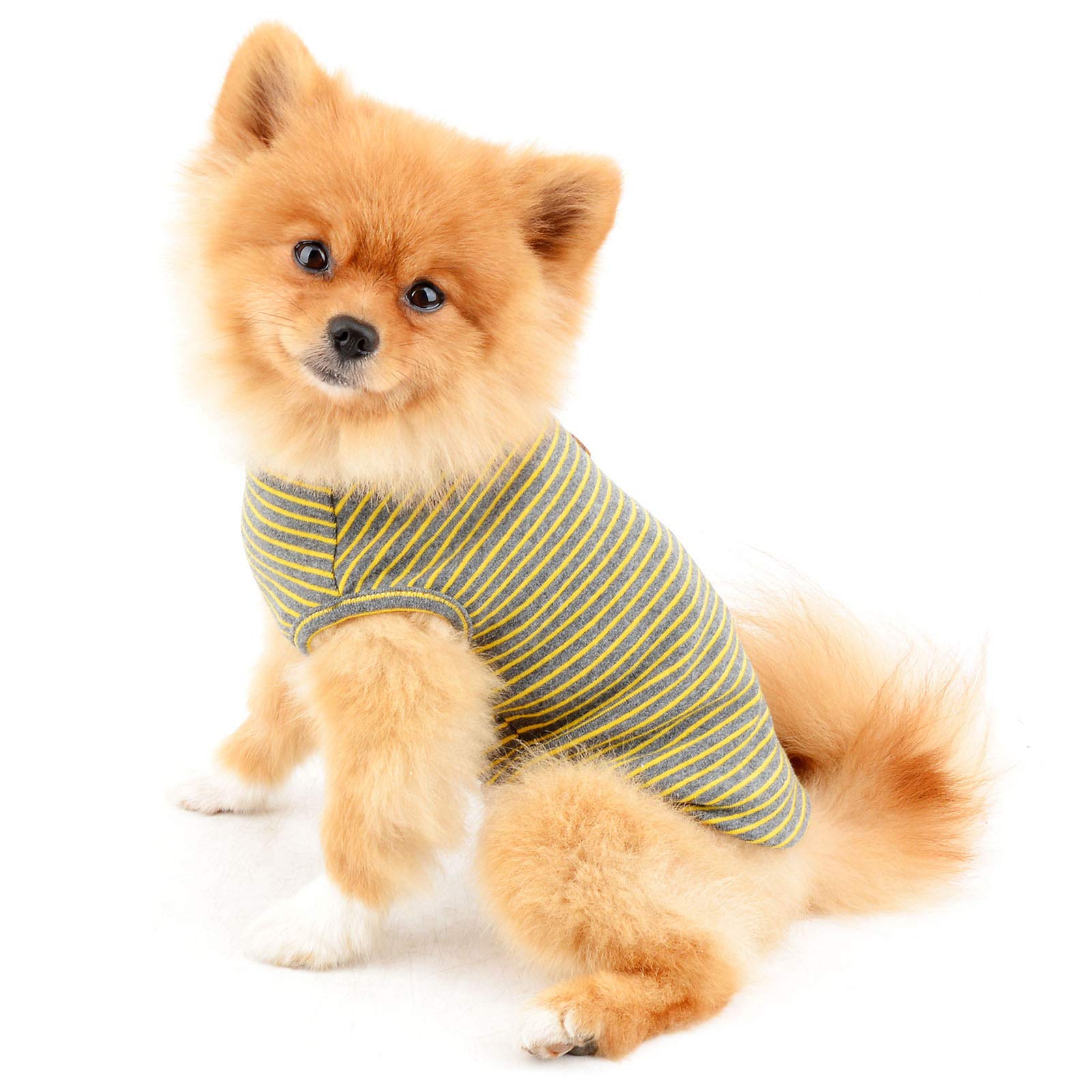 PAIDEFUL Chemise britannique pour petit chien rayée, gilet pour chat, T-shirt en coton doux pour garçon, vêtement pour animal de compagnie, Tee d’été pour chiot, Chihuahua, Yorkie, Débardeur