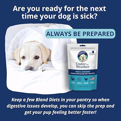 Miniatura 7 de Under the Weather Dieta suave fácil de digerir para perros enfermos  Contiene electrolitos  Sin gluten, todo natural, carne liofilizada 100% de