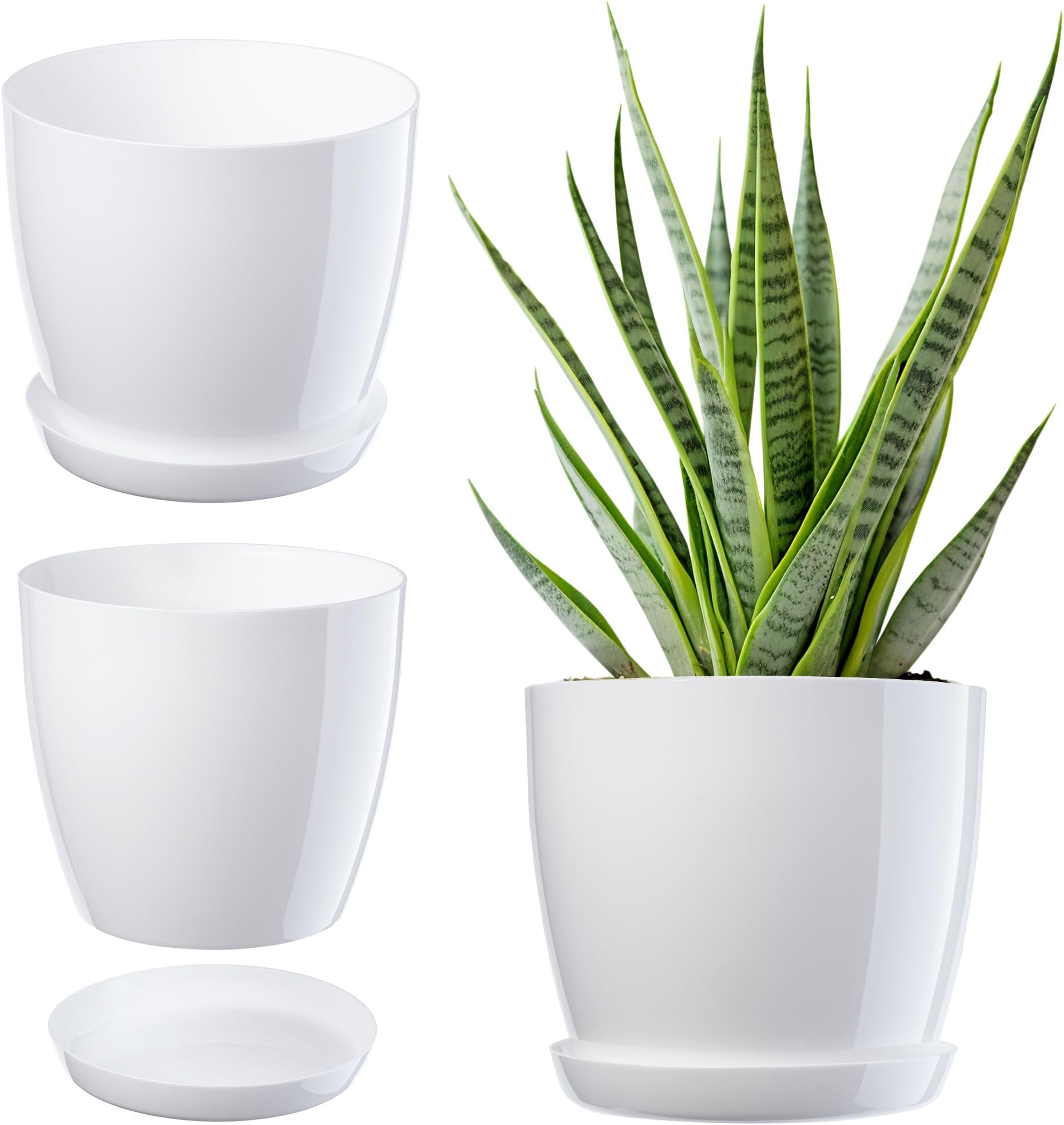 Blumentopf Standard Mit Untersetzer In Versch. Größen Und Farben, Farbe - Foto 5