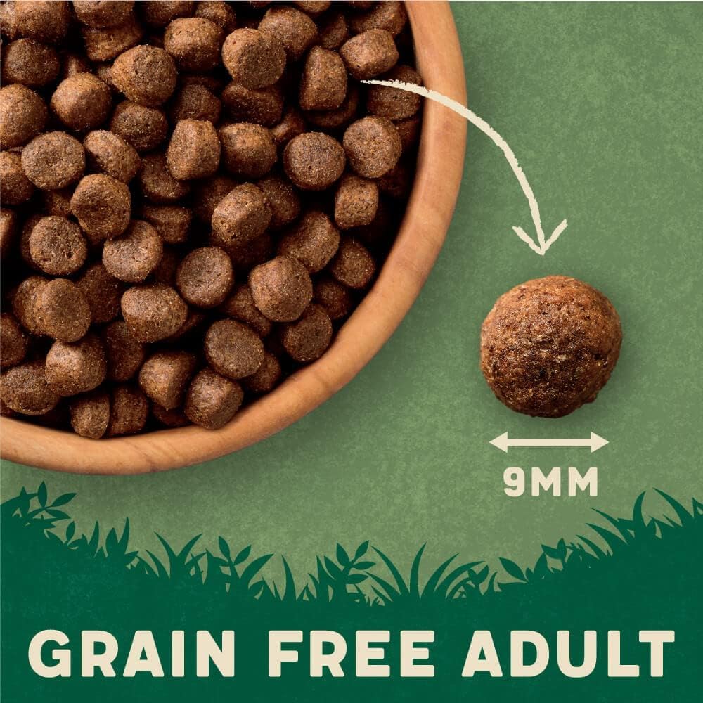 Harringtons Complete Grain Free Hypoallergenic Chicken & Sweet Potato Dry Adult Dog Food 1kg - Made with All Natural Ingredients — view 5
