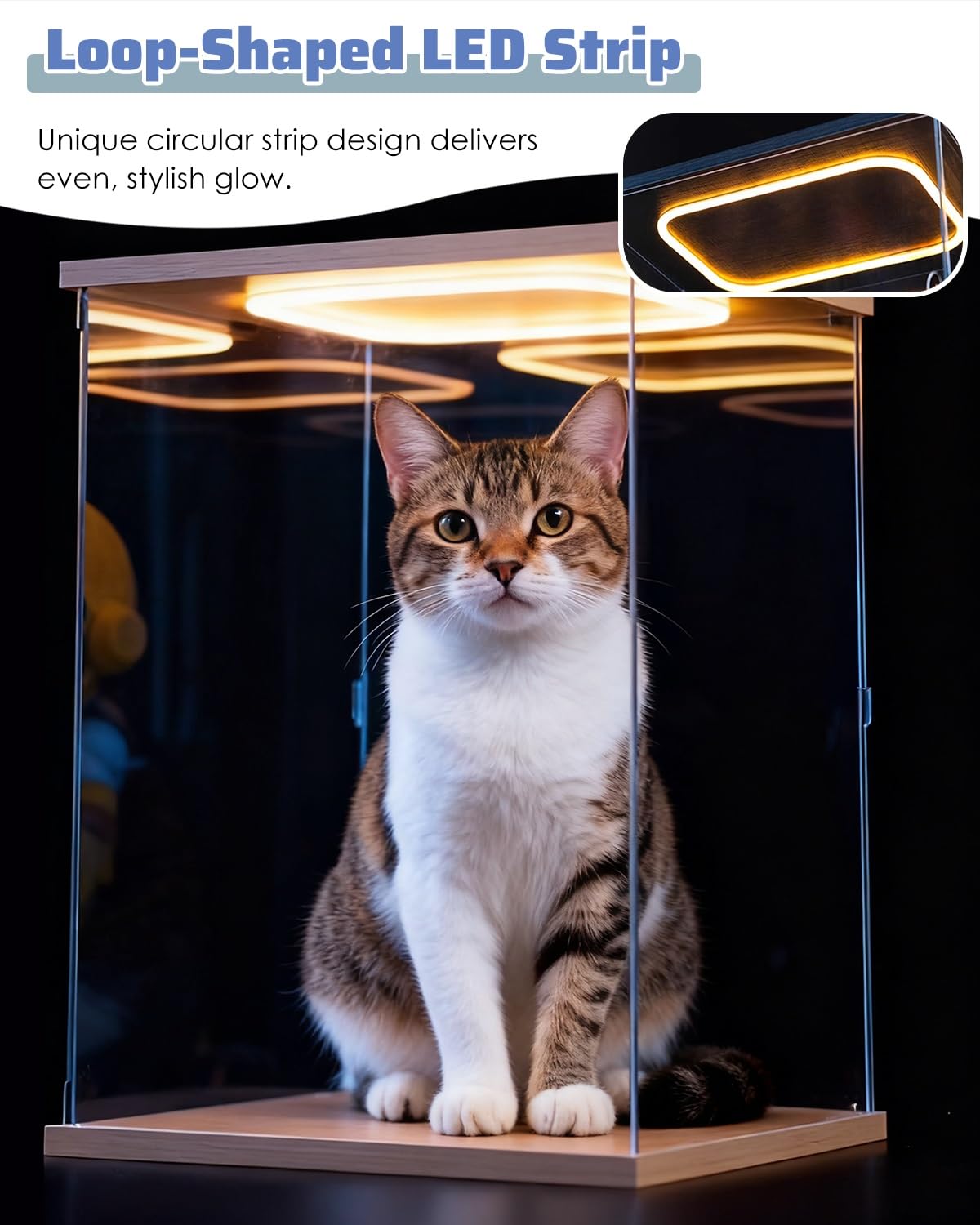 Teca Plexiglass Grande Piccola Vetrina in Acrilico per Figure da Collezione con Luci Led | Scatola Espositiva Trasparente Impilabile con Base in Legno, Copripolvere per Auto da Hobby(48x48x48 cm/19x19x19 in)