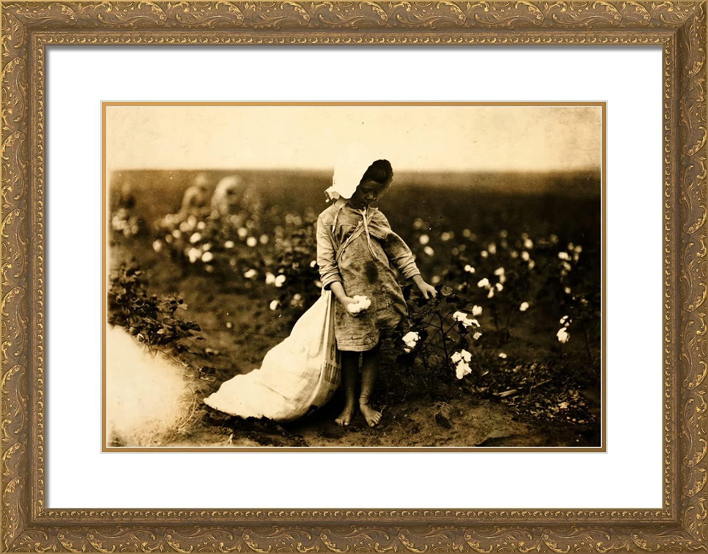 ArtDirect Hine, Lewis Wickes 24x19 Gold Ornate Framed Art Print with Double Matting Titled: Vera Hill Five Years Old Cotton Picker Comanche County, Oklahoma 1916