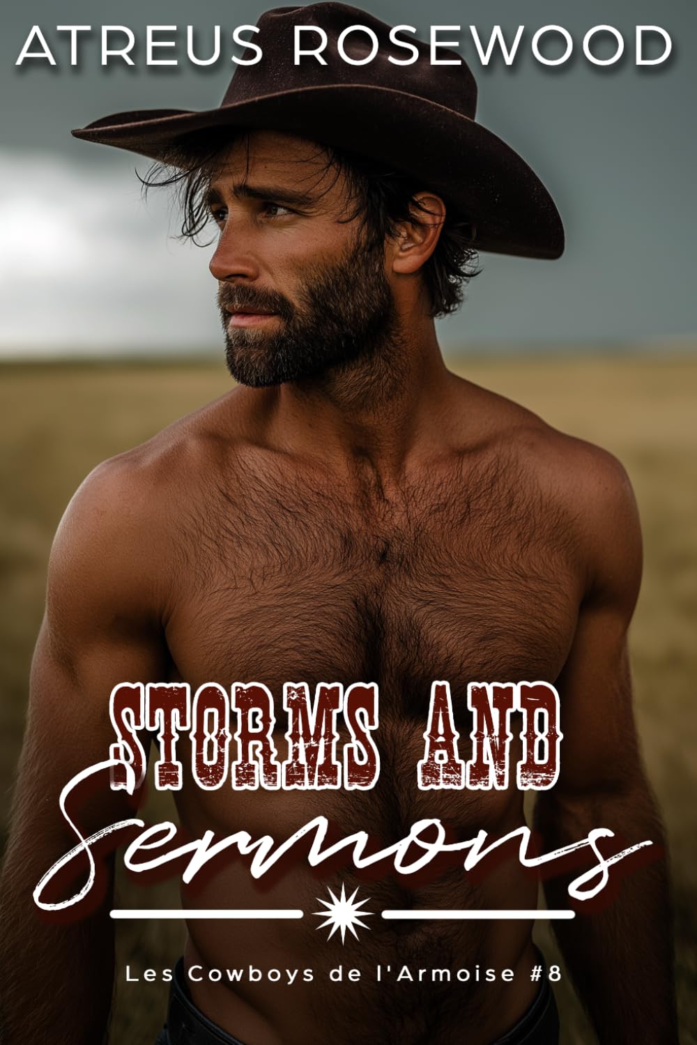 Storms and Sermons (version française): Une romance MM douce et épicée avec un cowboy (Les Cowboys de l'Armoise)