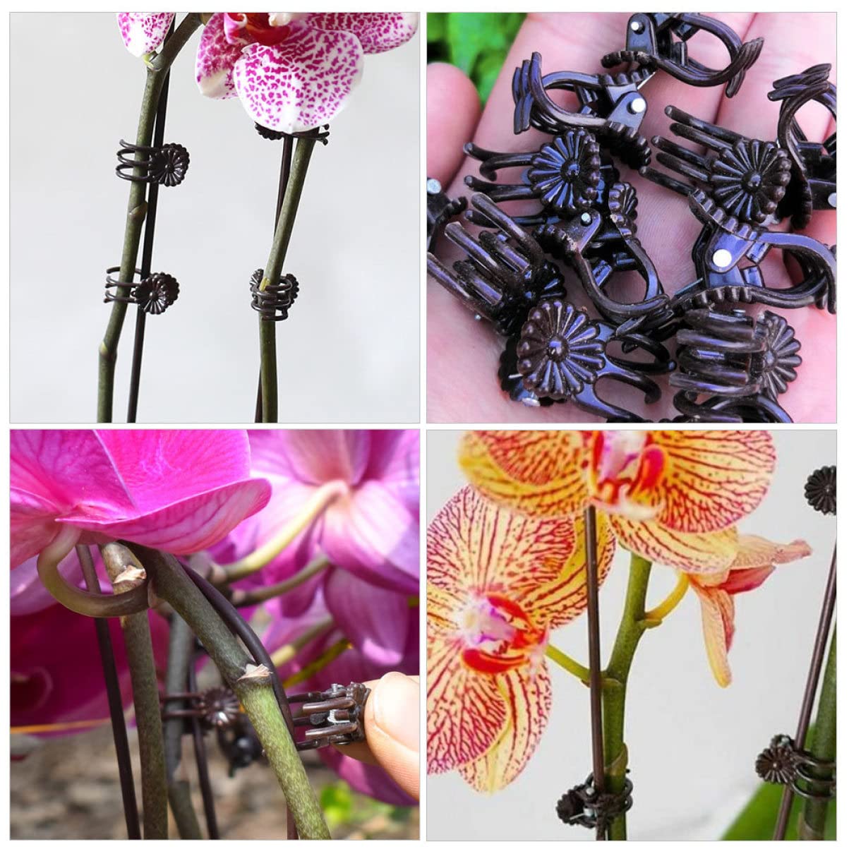 TOYANDONA 2 Sätze Pflanzenfixierungsclips Und Halterungen Für Gartenpflanzen Wetterfeste Klammern Für Kletterpflanzen Gemüse Und Blumen Zur Unterstützung Pflanzenwachstums 20 Stück * 2