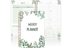 Daily Journal 2022: Stay Organized Daily!