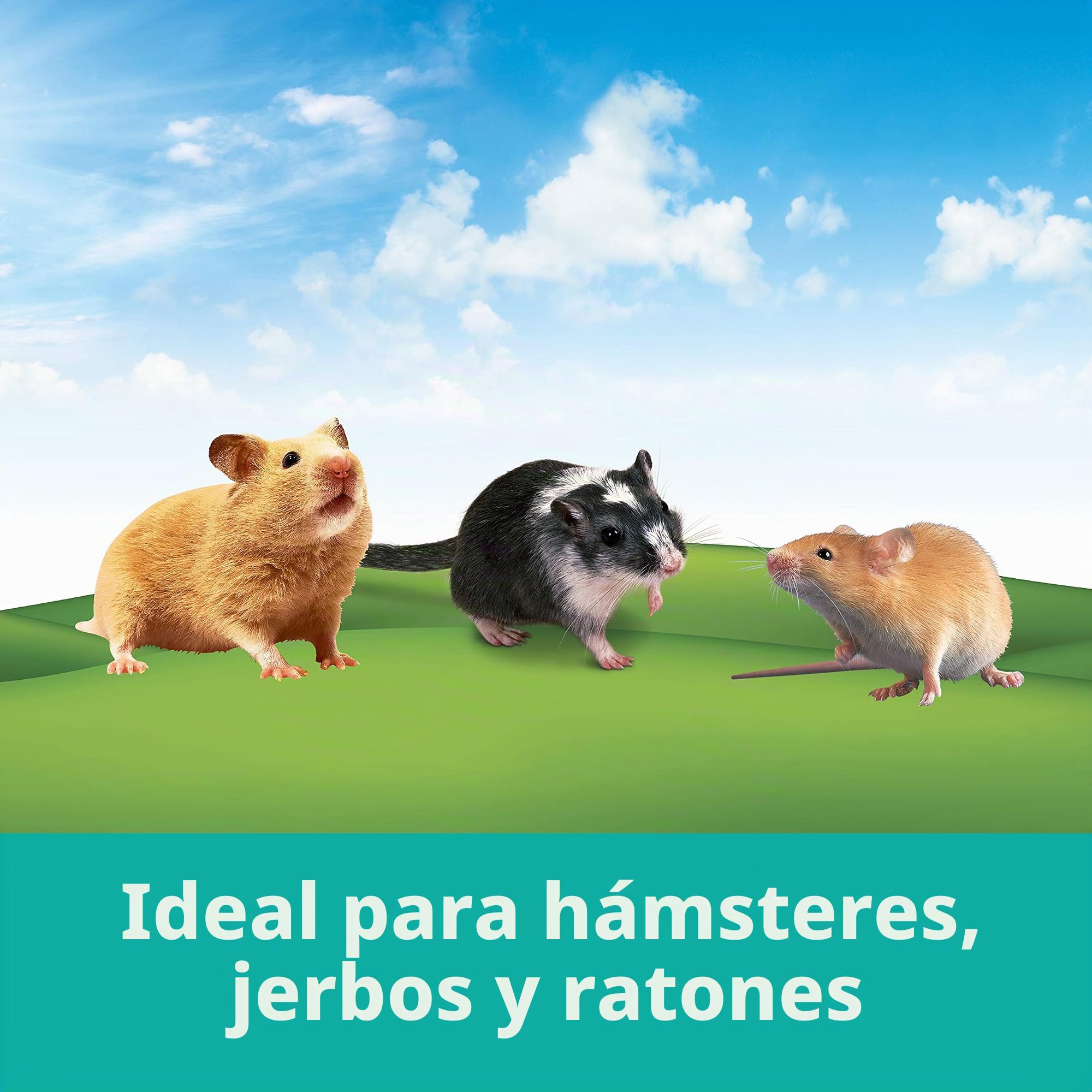 Kaytee/Superpet & Cages - Tubos de plástico de colores que se conectan para formar túneles para animalitos, 16 unidades