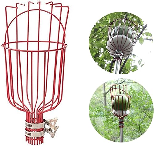 Miniatura 4 de DIIG Recolector de frutas, herramienta para recoger frutas de 5.5 pies con poste de conexión de acero inoxidable, equipo de recolección de frutas