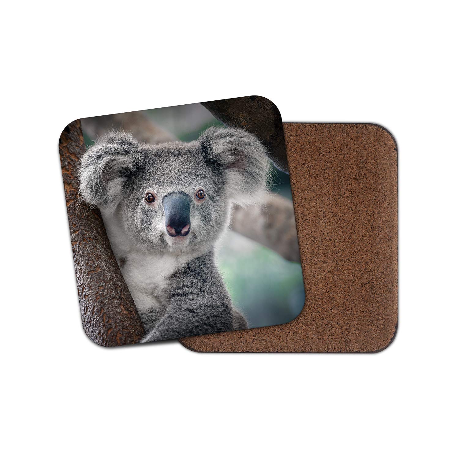 Destinationvinyl Multicolor 1 X Koala Bear Coaster - Australia Wild Cute Animal Australian Outback #15050