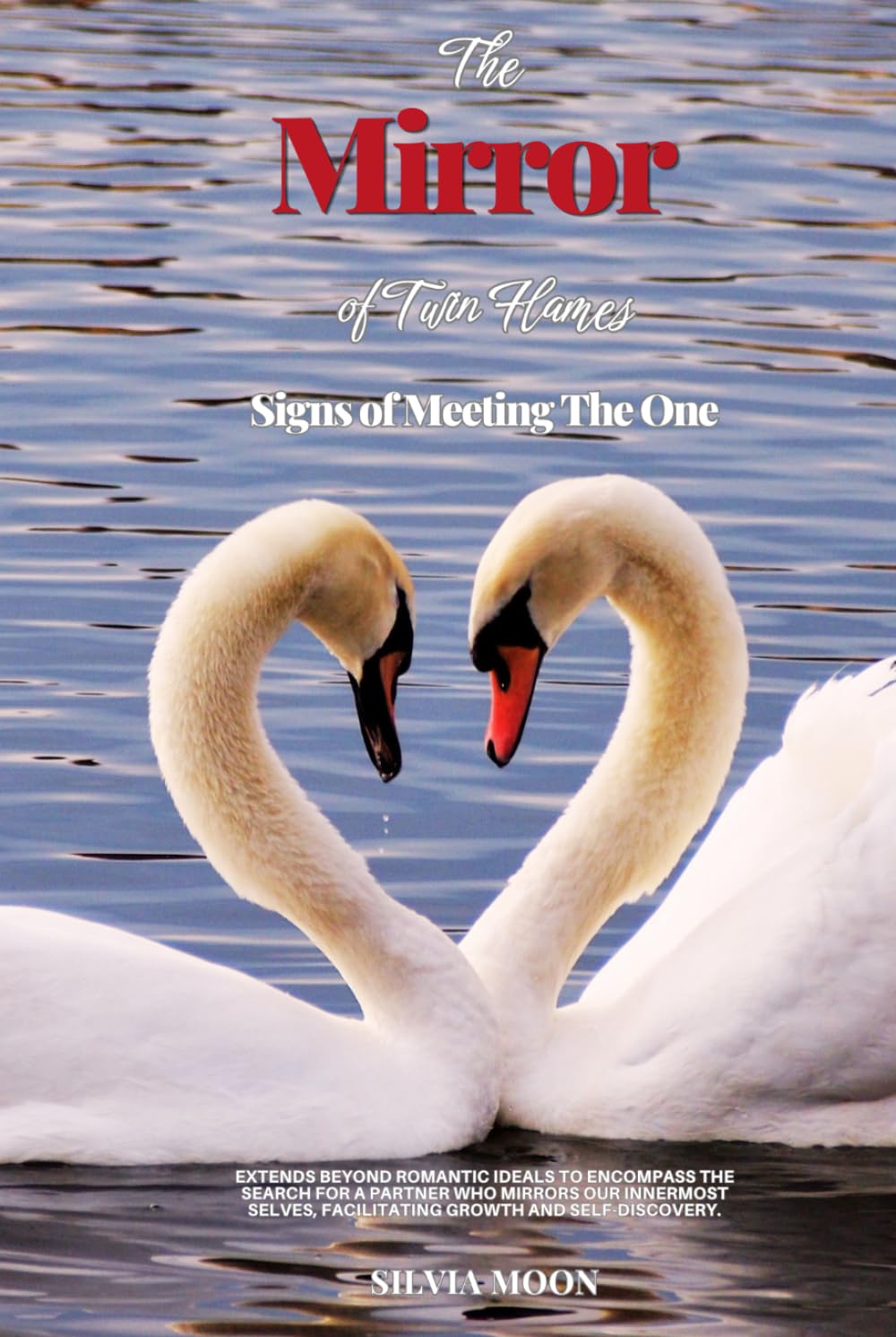 The Mirror of Twin Flames: Signs of Meeting The One (Twin Flame Mirror Souls)