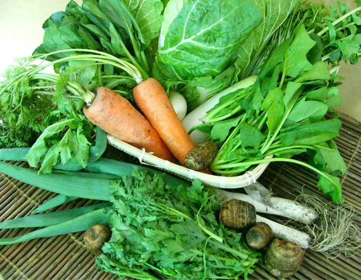 無農薬新鮮野菜　「旬の無農薬100％野菜セット：約１０～１１種類」