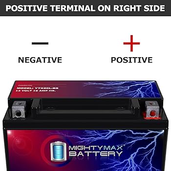 Amazon.com: Mighty Max Battery YTX20L-BS Battery Replacement for