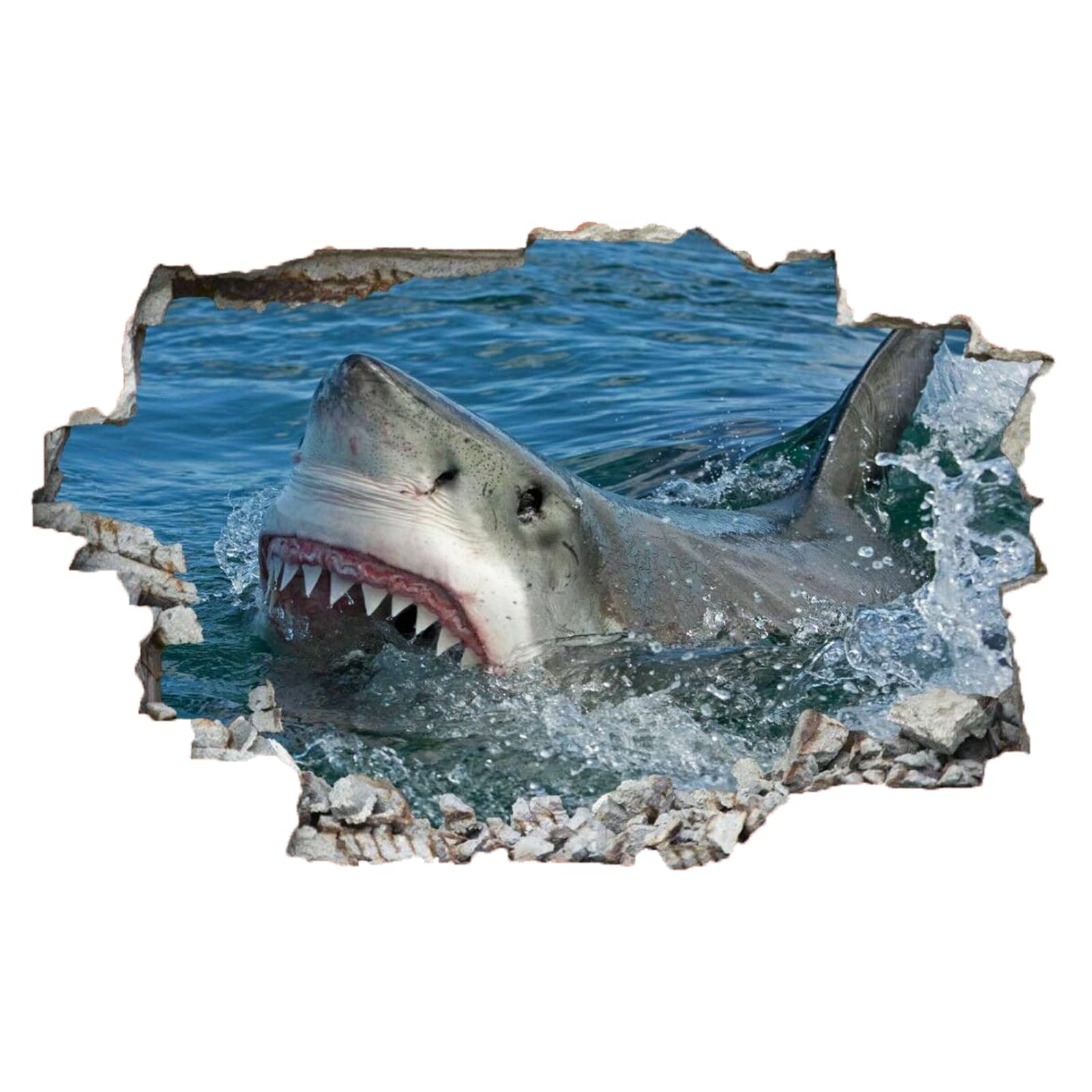Squalo Decalcomanie Da Muro Art 3D Fracassato Animale Adesivi Murali Removibili Carta Da Parati Camera Da Letto Autoadesivo Per Ragazze Camera Da Letto Nursery Home Decor Gift 75x113cm