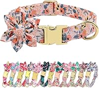 Vista 10 de Beirui Lindos collares para perras con patrones florales vibrantes, collar de perro hembra con flor para caminar, collar ajustable y duradero