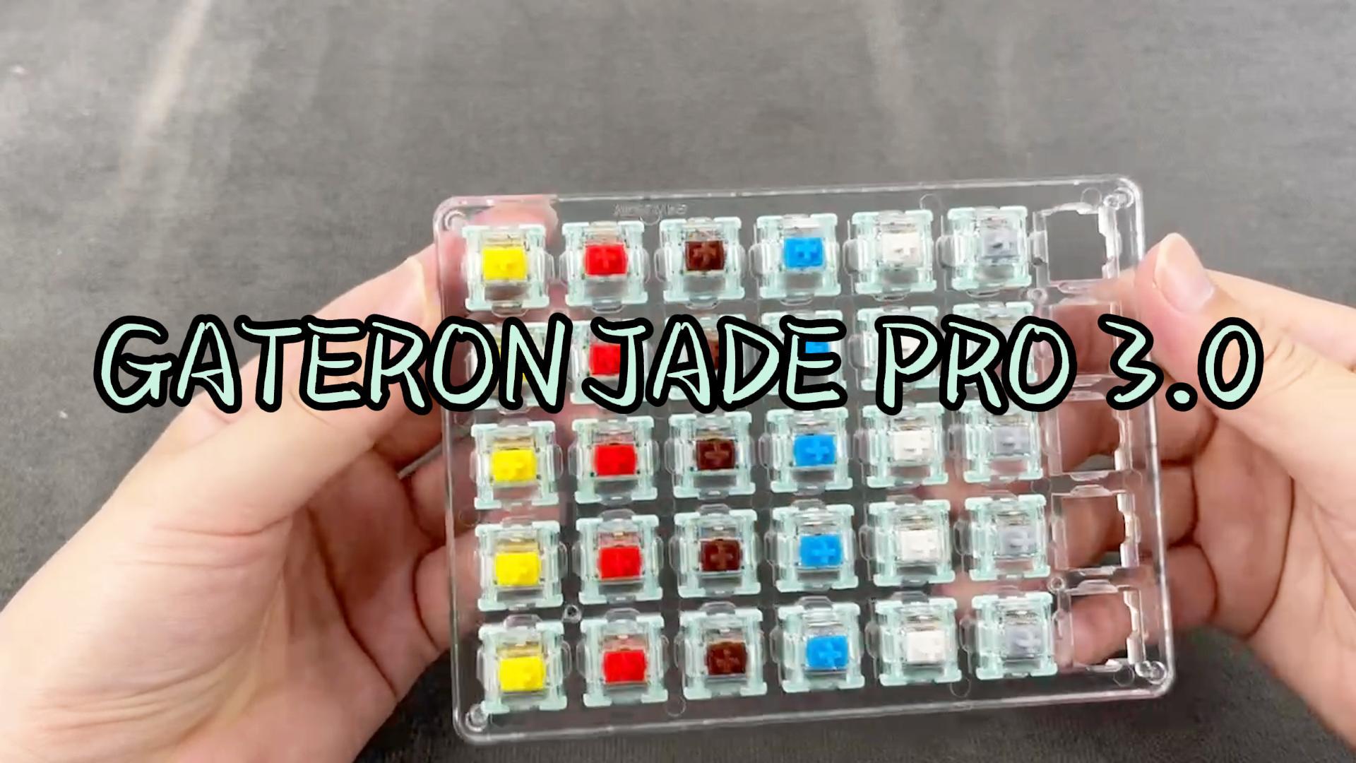 Fallon3 MG(ファロン3 MG) 2BA Fallon3 MG(ファロン3 MG) 2BA Fallon3 MGファロン3 MG 2BA