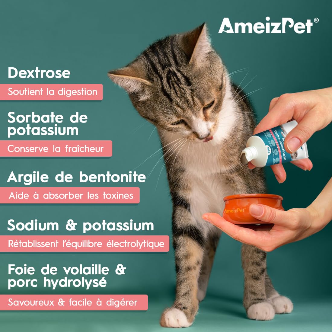 AmeizPet Pâte Gastro Intestinale pour Chats, Soutien Gastro Intestinal pour la Santé Intestinale et la Flore Intestinale, Complément Digestif pour Chats et Chatons, 100 g (3.53 Oz)