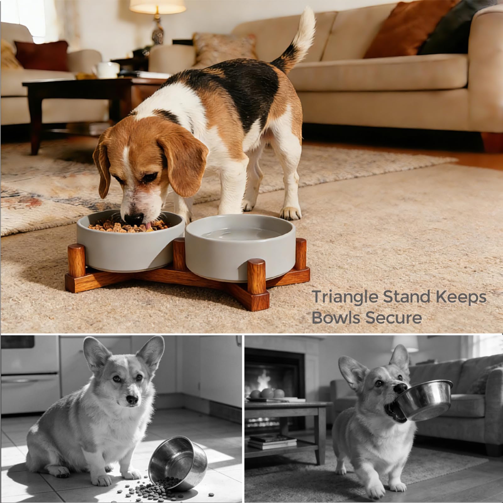 Lot de 2 gamelles en céramique pour chien et chat avec support en bois, bols lestés antidérapants pour nourriture et eau, double mangeoire surélevée pour petits chiens et chats, gamelles en vernis mat
