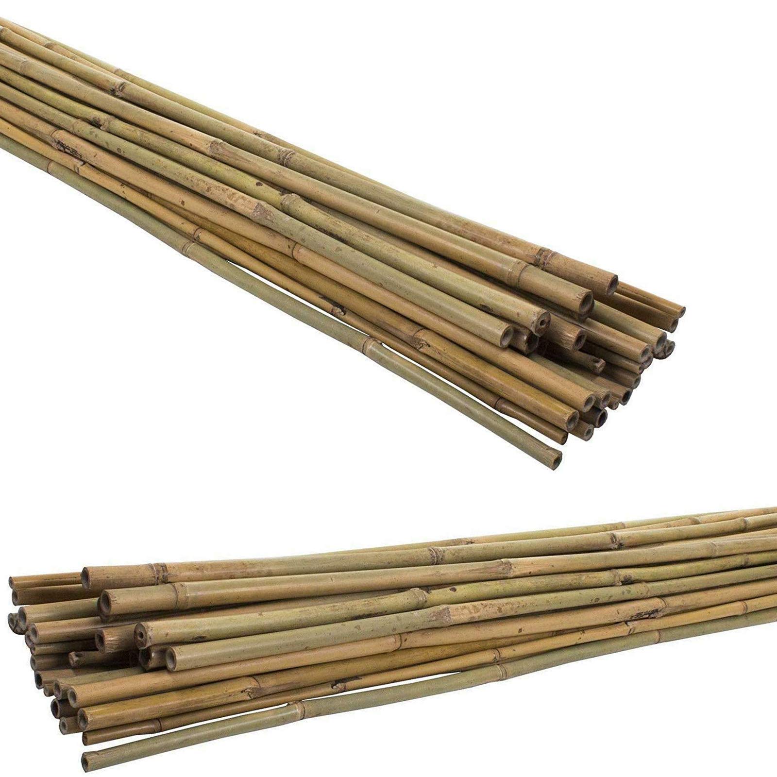 BLADO Bamboo Garden Canes Strong Thick Heavy Duty Professional Plant Support 2FT,3FT,4FT,5FT,6FT,7FT,8FT Cane (30, 4ft, 8-10mm)