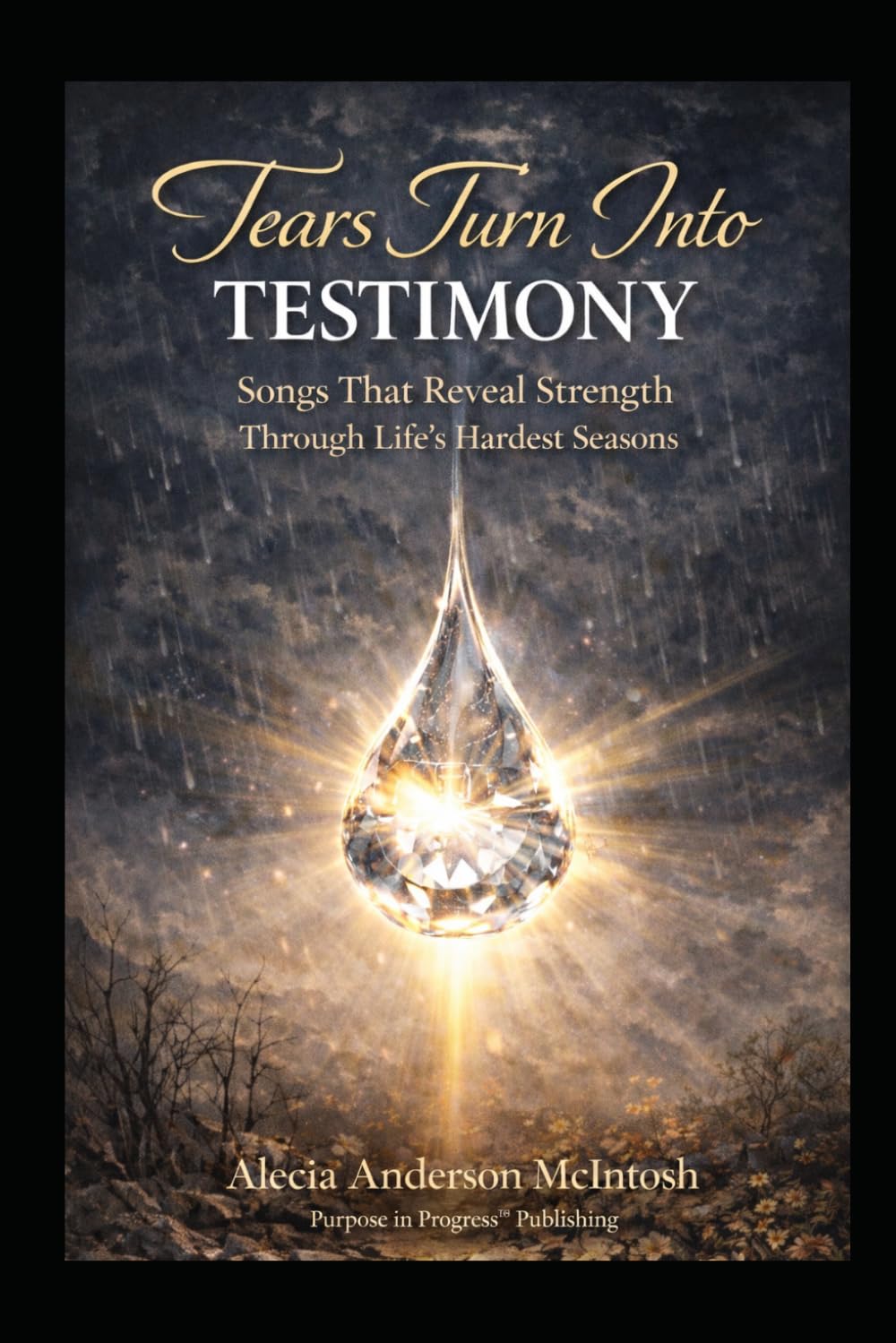 TEARS TURN INTO TESTIMONY: Songs That Reveals Strength Through Life's Hardest Seasons