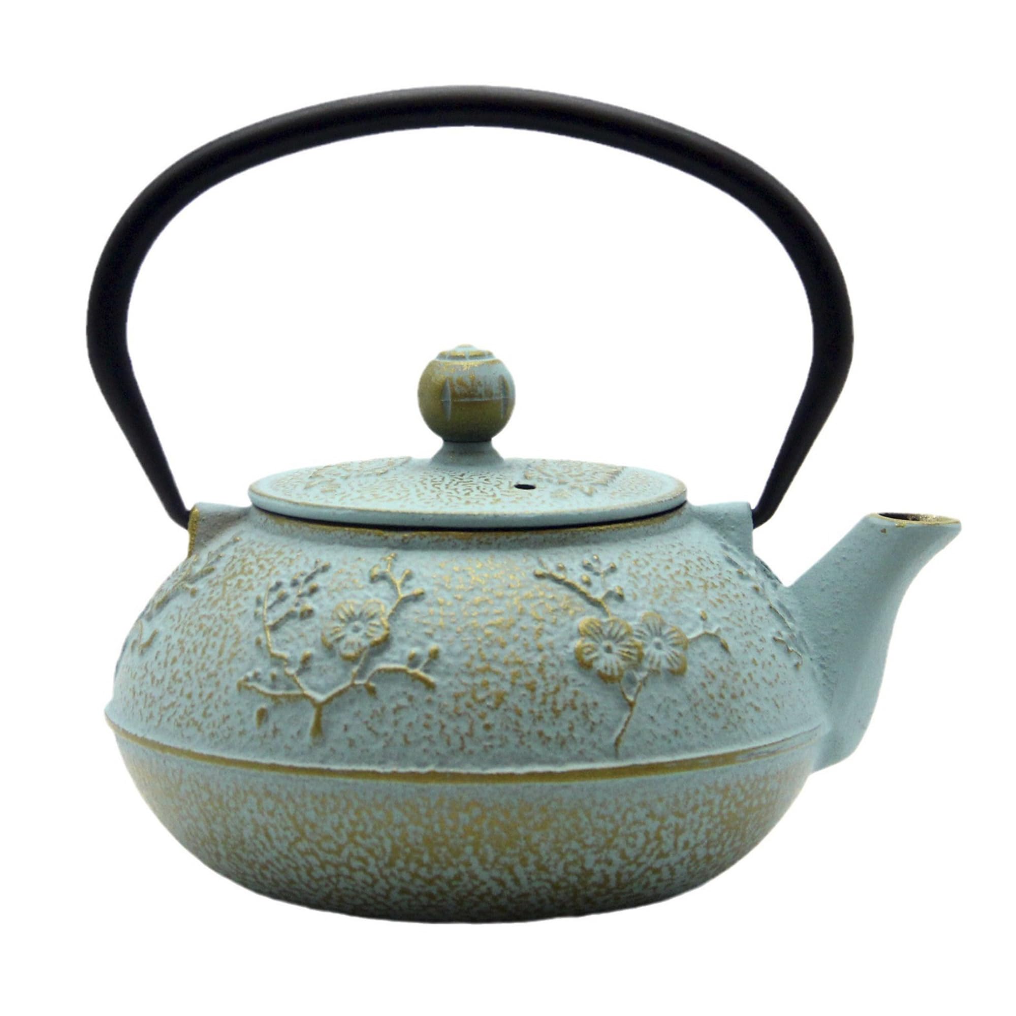 SECHUDO Cast Iron Tea Kettle