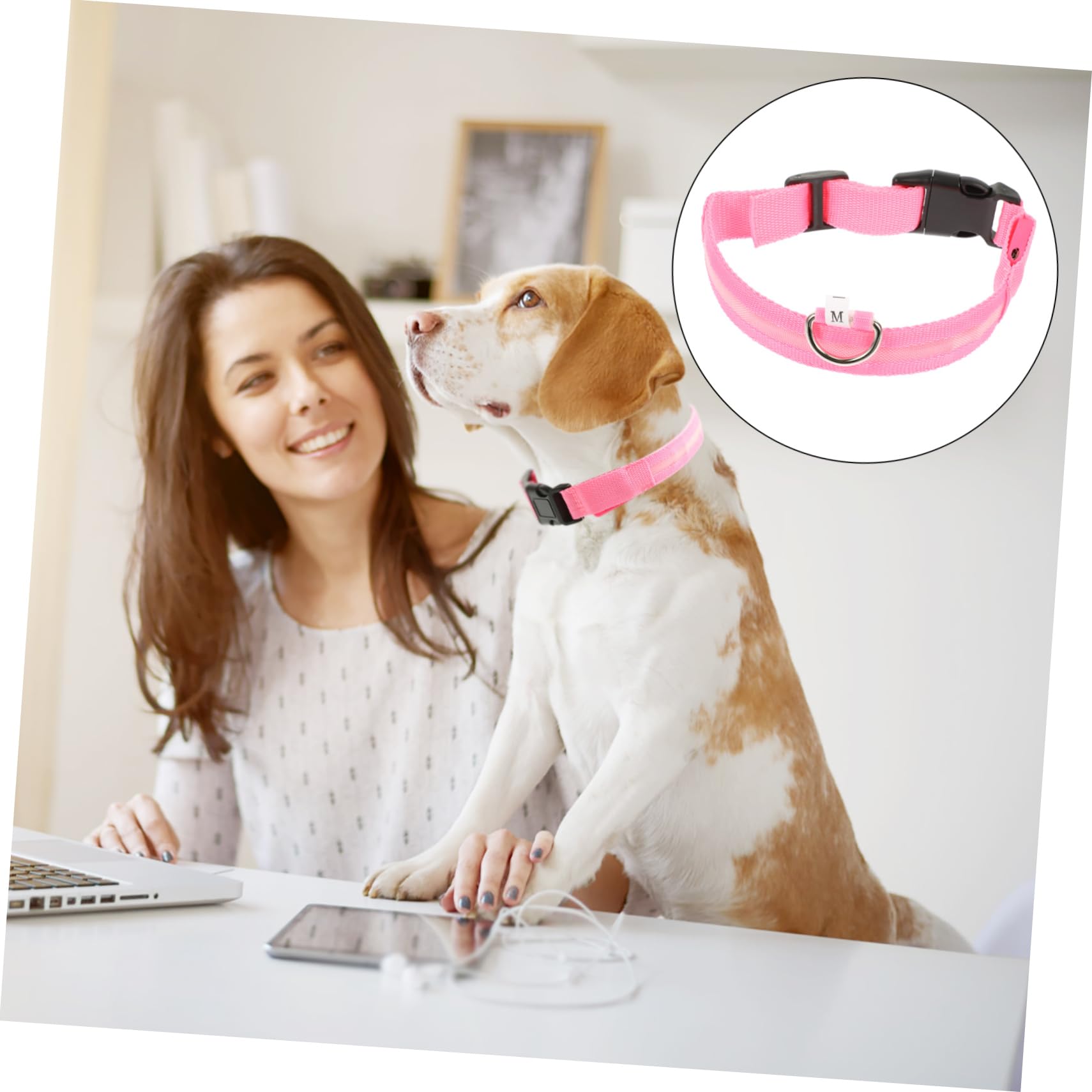 INOOMP 4 Set Collare Per Cani Collana Led Cane Colletto Luminoso Collare Per Cucciolo Collari Per Cuccioli Per Cuccioli Piccoli Sicurezza Rosa Poliestere Gatto Domestico Serigrafia