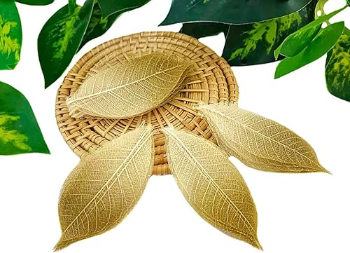 Miniatura 1 de JAKAPAN Hojas de esqueleto decorativas de dos tonos, árbol de goma natural, álbum de recortes, manualidades, tarjeta de boda, hojas pequeñas, uso