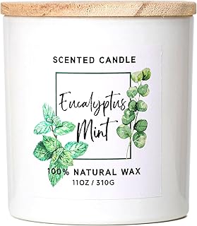 Eucalyptus & Mint Scented Candle,White Candles for Home Scented,Aromatherapy Candle,Stress Relief Candle,Christmas Gift for Women Men,Natural Soy Wax Candle,11oz