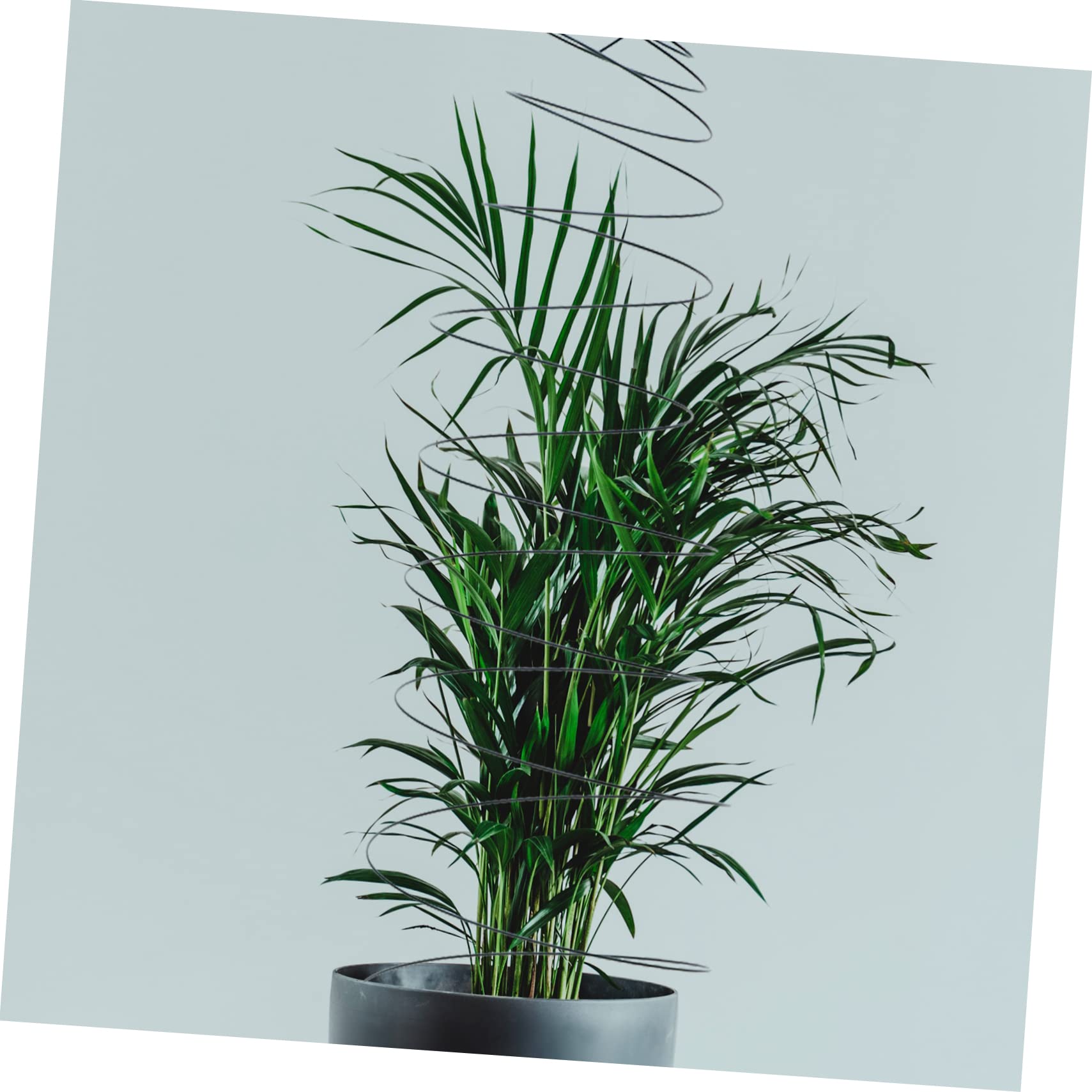 Poteaux de Support Spiralés pour Plantes Grimpantes 2 Pièces