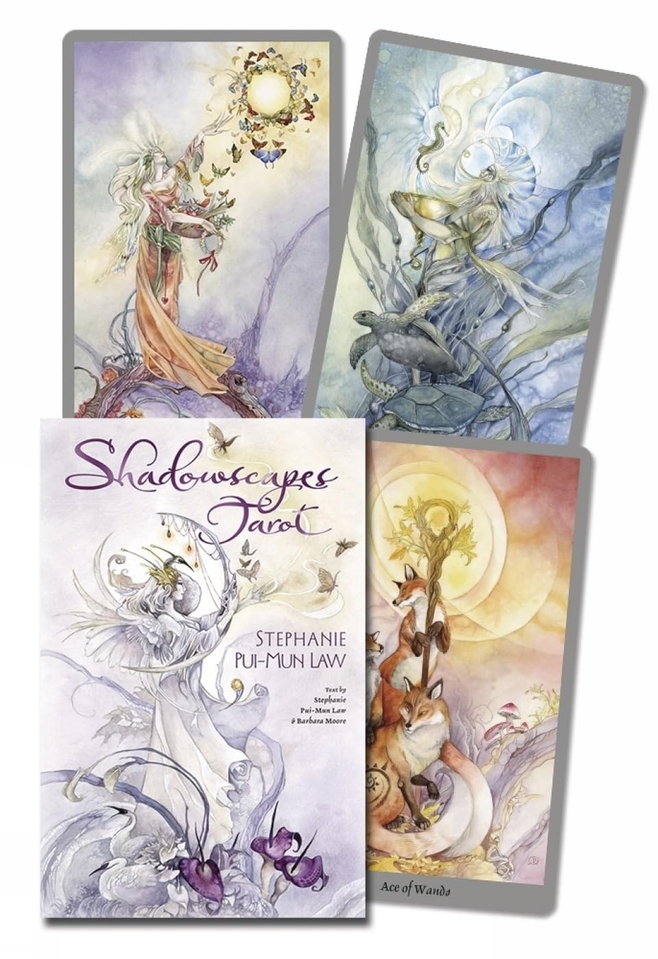 Shadowscapes Tarot Deck Cards – May 8, 2011