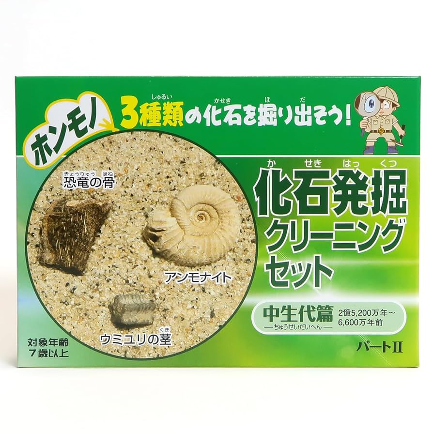 北海道アンモナイト 中川産ノジュール 化石 科学 自由研究 鑑賞石